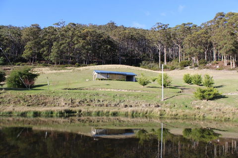 Cherryview Cygnet - Tourism Brisbane 3