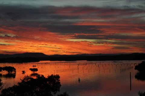 CHILL-OUT LAKESIDE @ FORSTER - Brisbane Tourism 3