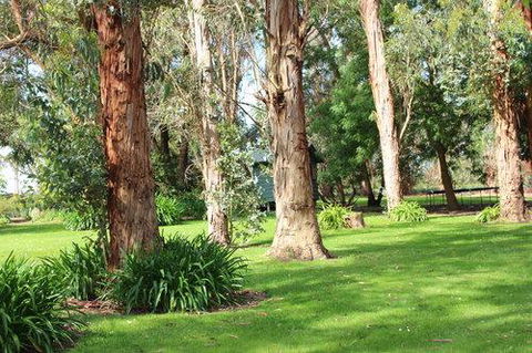 Clarendon Chalets - Tourism Brisbane 1