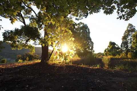 Clarendon Forest Retreat - Tourism Brisbane 0
