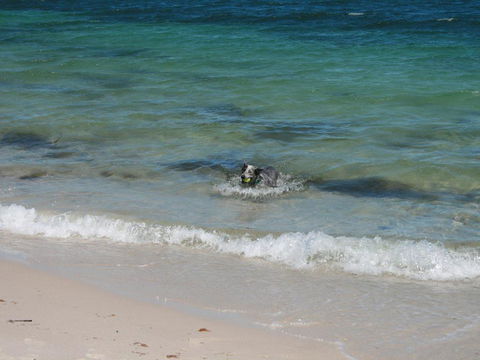 Close To The Myall River - Pet Welcome - Tourism Brisbane 3