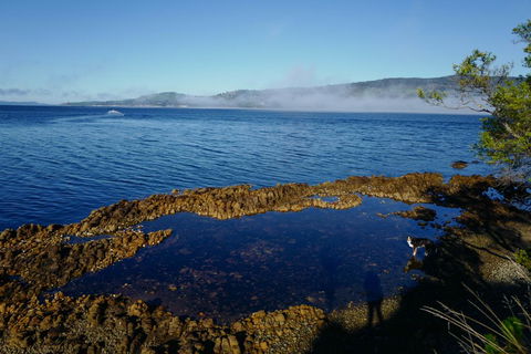 Coast House Tasmania - Tourism Brisbane 2