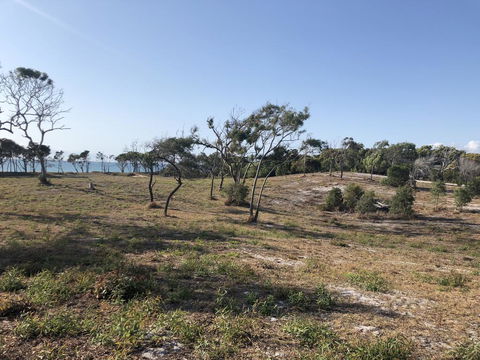 COONARR BEACH ( BUNDABERG )CAMPING - Tourism Brisbane 2