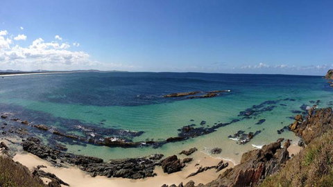 Coral Sands 3 - Pebbly Beach - Brisbane Tourism 2