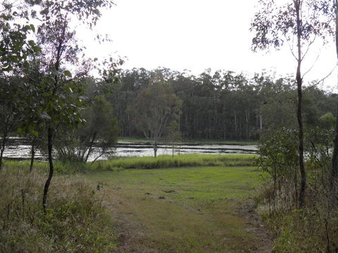 Coucals Cottage - Tourism Brisbane 2