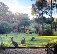 Countryside Retreat Spa Cottage Hepburn - Daylesford - Tourism Brisbane