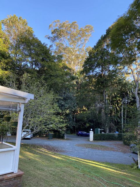 Curtis Falls Studio-Apartment - Tourism Brisbane 3