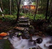Daintree Cascades