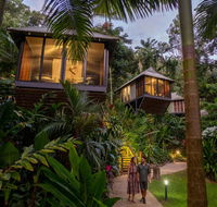 Daintree Ecolodge - Tourism Brisbane