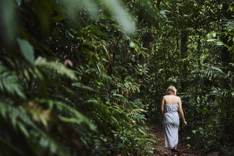 Daintree Ecolodge - Tourism Brisbane 2