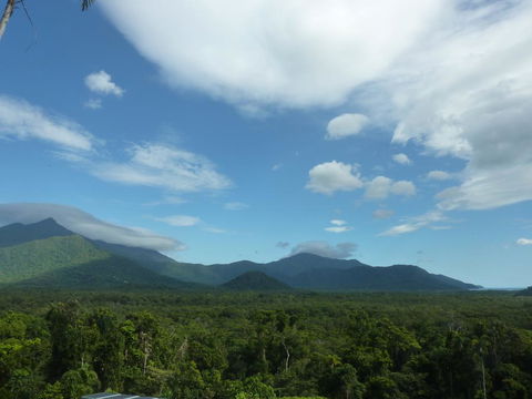 Daintree Holiday Homes - La Vista - Tourism Brisbane 3