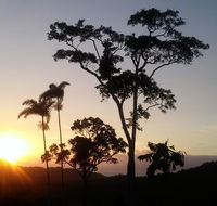 Daintree Holiday Homes - Yurara - Brisbane Tourism
