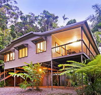 Daintree Magic - Brisbane Tourism