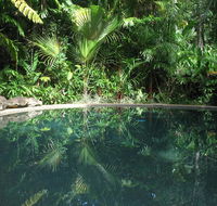 Daintree Rainforest Retreat Motel - Brisbane Tourism