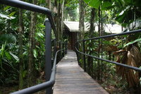 Daintree Wilderness Lodge