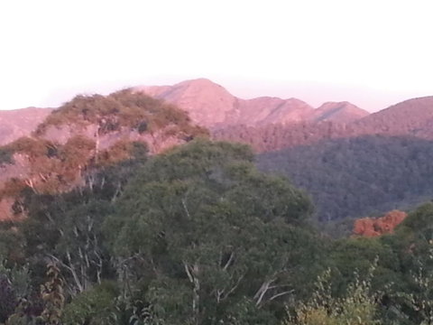 Day Dream Cottage - Brisbane Tourism 2