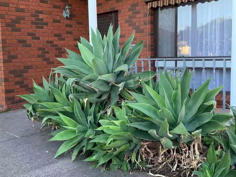Delicate And Cozy Bedroom In Bentleigh East - Tourism Brisbane 2