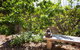 DeÅ›a Retreat Ecovillas - thumb 2