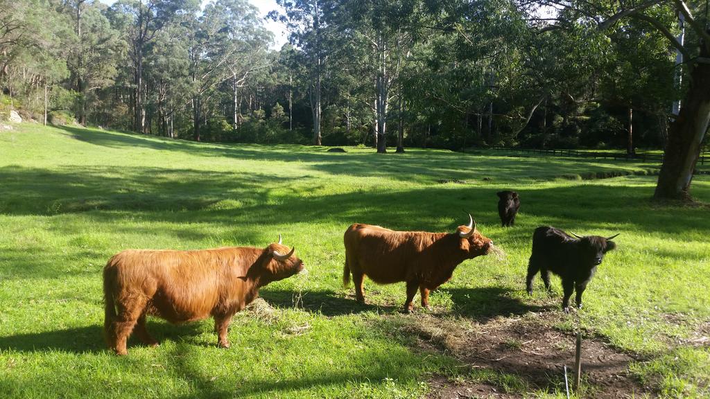 Annangrove NSW Tourism Brisbane