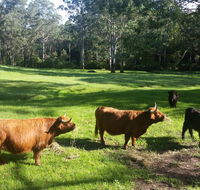 Dingley Dell - Tourism Brisbane
