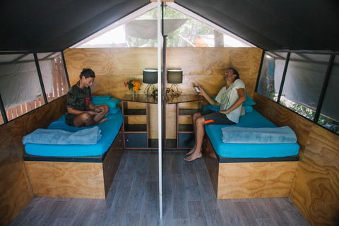 Dougies Backpackers Resort - Tourism Brisbane 3