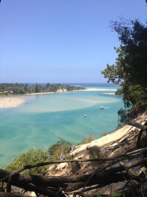 Driftwood - Tourism Brisbane 3