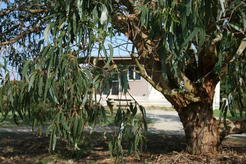 Driftwood Villas - Tourism Brisbane 3