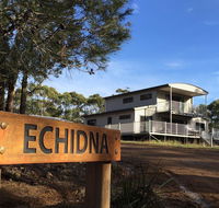 Echidna on Bruny - Tourism Brisbane