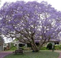 Ecotel Narooma - Tourism Brisbane