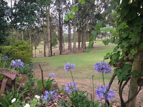 Elfin Hill Vineyard Accommodation - Tourism Brisbane 2