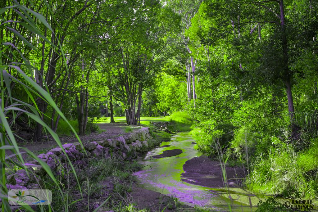 Esk QLD Brisbane Tourism