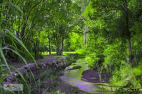 Book Esk Accommodation Vacations Brisbane Tourism Brisbane Tourism