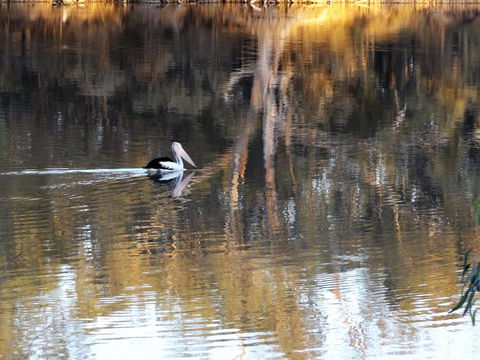 Euston Club Motel - Tourism Brisbane 0