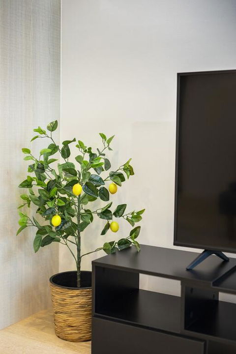Everhome Melbourne Village 603 - Tourism Brisbane 3