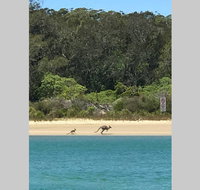 FAIRVIEW COTTAGE 25B - Waterfront accommodation - Brisbane Tourism