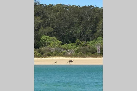 FAIRVIEW COTTAGE 25B - Waterfront Accommodation - Tourism Brisbane 0