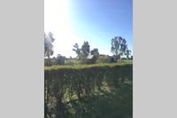 Book Benalla Accommodation Vacations Tourism Brisbane Tourism Brisbane