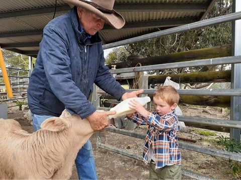 Fay's Cottage - Tourism Brisbane 1