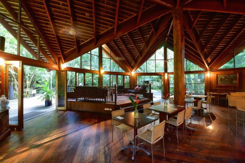 Ferntree Rainforest Lodge - Brisbane Tourism 1