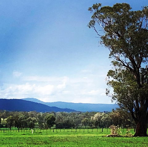 Fourjay Farmstay - Tourism Brisbane 0