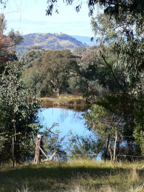 Gaddleen Grove Cottages - Brisbane Tourism 3