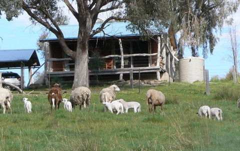Gaddleen Grove Cottages - Brisbane Tourism 0
