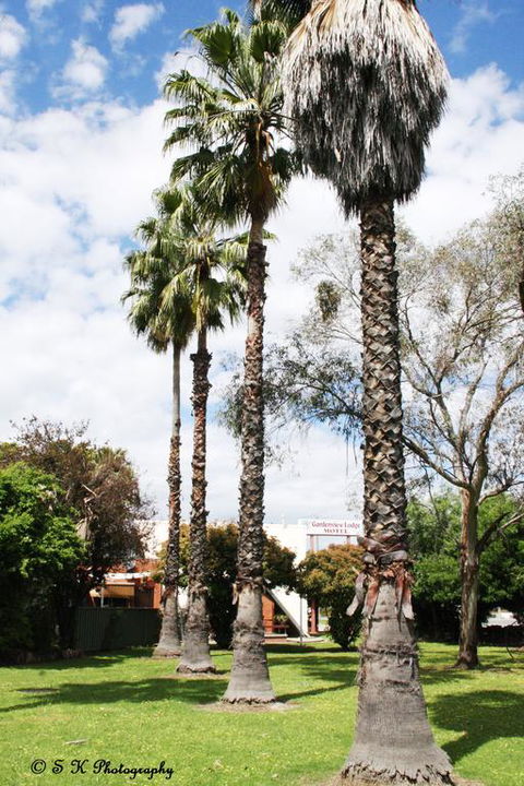 Gardenview - Brisbane Tourism 3