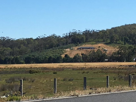 George River Park - Brisbane Tourism 3