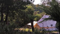 Book Zeehan Accommodation Vacations Tourism Brisbane Tourism Brisbane
