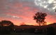Country Lodge Motel - thumb 3