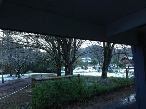 Goldberryaccommodation - Tourism Brisbane 3