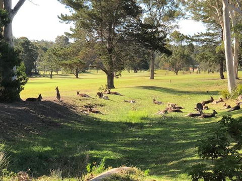 Golf View Motel - Tourism Brisbane 1