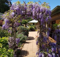 Gumtree House Montville - Tourism Brisbane