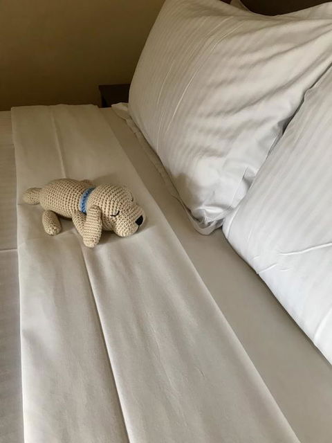 Happy Dogs Cottage Margaret River - Tourism Brisbane 3